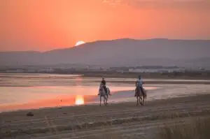 horseback riders with a sunset
