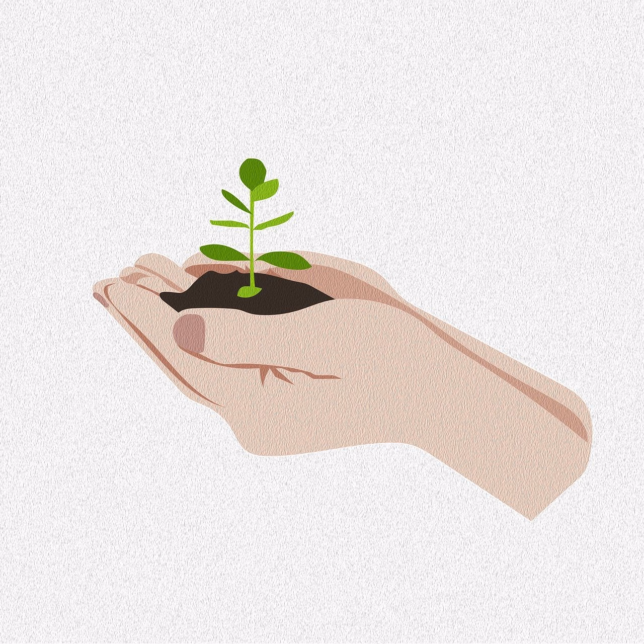 seedling growing in a pair of hands